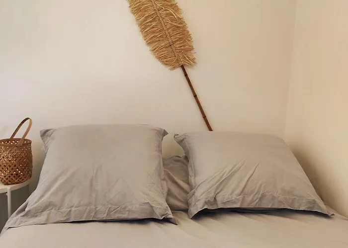 Appartement La Souleyado à Minutes 5 Minutes à Pieds, 2 Belles Terrasses